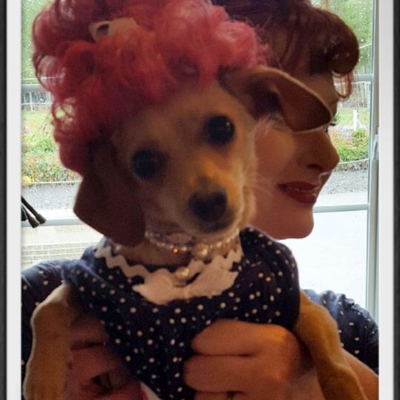 Meet your Posher, Elana /Necklace not for sale - Picture 2 of 5